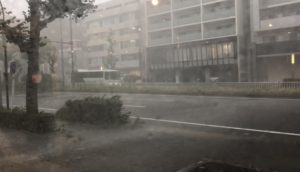台風影響名東区一社